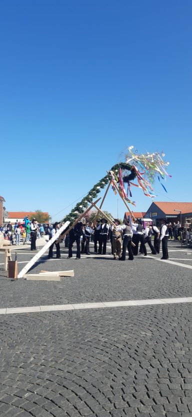 Maibaum stellen 